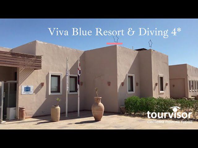 Viva Blue Resort & Diving смотреть онлайн