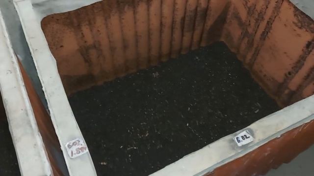 Антипобег для червей в действии. смотреть онлайн