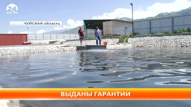 Информационная программа Ала Тоо вторник, 09 08 2017-ГФ смотреть онлайн