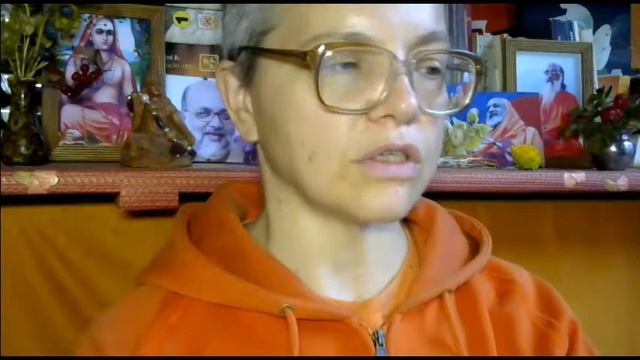 ВивекаЧудамани курс Свамини Видьянанды Сарасвати 40 шлока 46 Непосредственные причины освобождения смотреть онлайн
