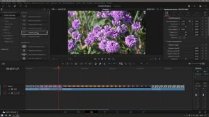 Секреты DaVinci Resolve - как подрезать все клипы и установить переходы