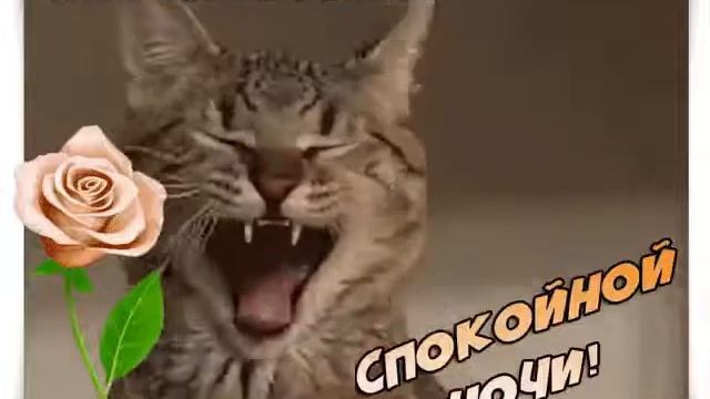 Відкритка надобраніч смотреть онлайн