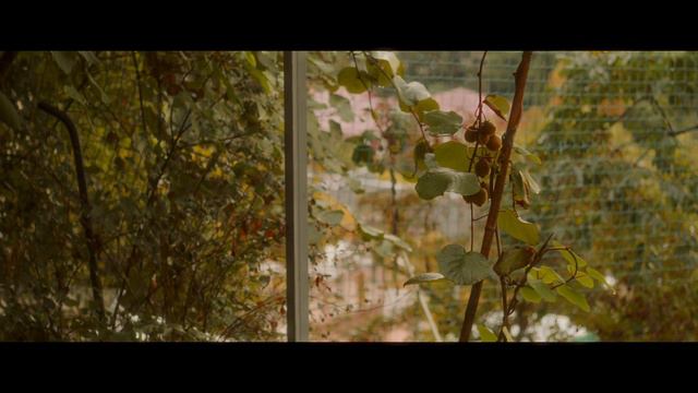 ПОСЛЕ ДОЖДЯ. BLACKMAGIC 6K PRO смотреть онлайн