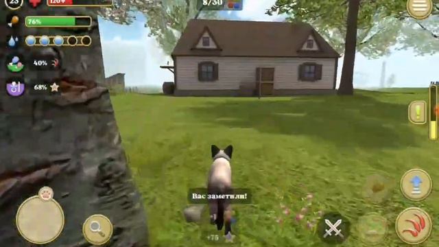 играю в Cat Simulator 🐈 очень интересно🤩 мне самой понравилось! ☺ смотреть онлайн