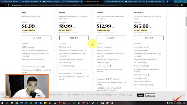 GoDadddy Wordpress Hosting Review: Are They Worth The Price? смотреть онлайн