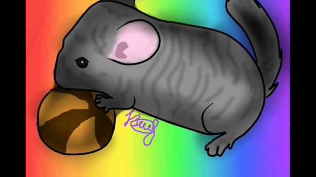 Подарок для канала Хомки