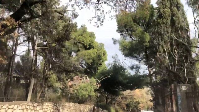 Понизовка, Кацивели пгт. По дороге вдоль моря. Ноябрь 2022 г. Крым. Crimea. Большая Ялта. Yalta. смотреть онлайн