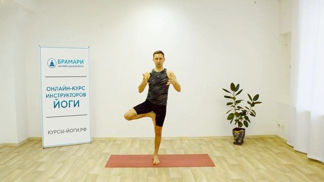 ВРИКШАСАНА — позе дерева в йоге • Отстройка • Техника выполнения • Видеоразбор смотреть онлайн