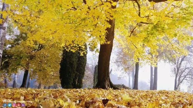 Музыка для релаксации! Одна из лучших песен о любви! Красивая музыка Сергей Грищук смотреть онлайн