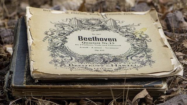 Beethoven Symphony 5 & 7 | Classical Music смотреть онлайн