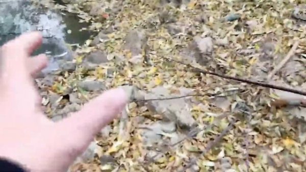 рыбалка 36 рус