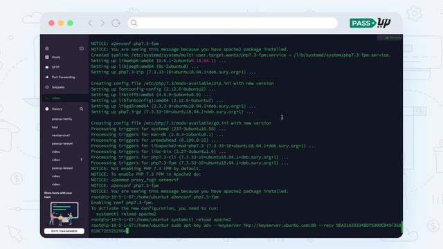 Passup Installation Workflow смотреть онлайн