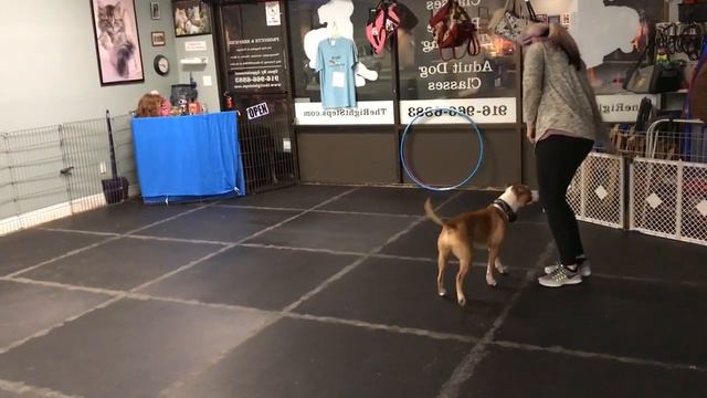 Pearl Freestyle Class 1/30/17 смотреть онлайн