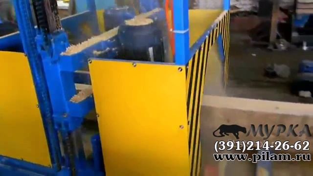 Горизонтальная дисковая двухпильная пилорама Тойма 500 pilam.ru смотреть онлайн