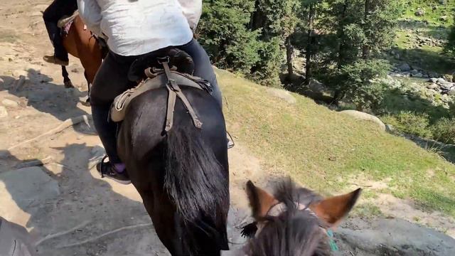 BEAUTY OF PAHALGAM || HAD TO FACE MY FEAR OF HORSE RIDE || EP.4 || KASHMIR IN SUMMERS 2021