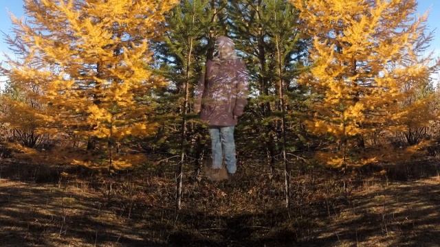 А ну ка бабушки 17г визитка смотреть онлайн