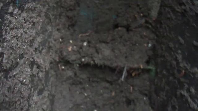 Вермифабрика в ЗИЛе Http://vermitechnologii.ru/  выгрузка  09.102013 1