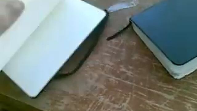 Moleskine & BrunoVisconti