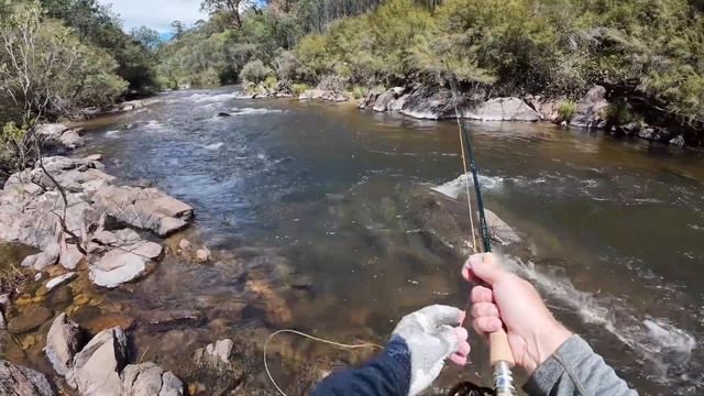 Murray [Indi] River Trout Fishing from Tom Groggin Campsite - 4 February 2024 - Day 2 смотреть онлайн