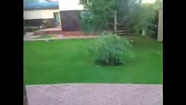 мой двор 2