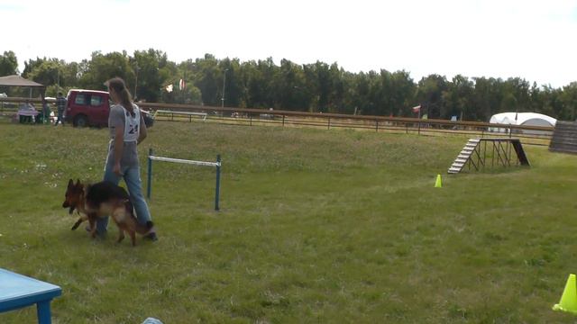 Чемпионат Московской области 2015 г. по ОКД и ЗКС. смотреть онлайн