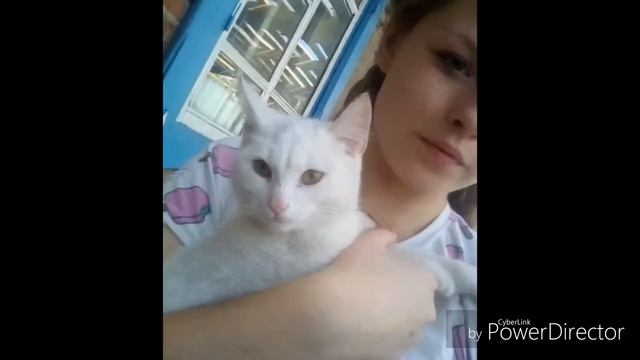 С днём рождения любимая Крестная дочь Александра!!!!! смотреть онлайн