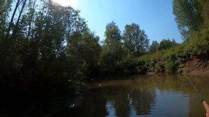 Тенкара. Сравнение удочек 5-5, 6-4, 7-3 длиной 360