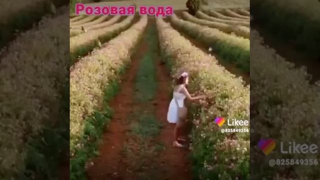 НАТУРАЛЬНАЯ РОЗОВАЯ ВОДА смотреть онлайн