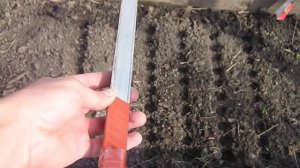 Универсальное устройство для посадки мелких семян (укр.)