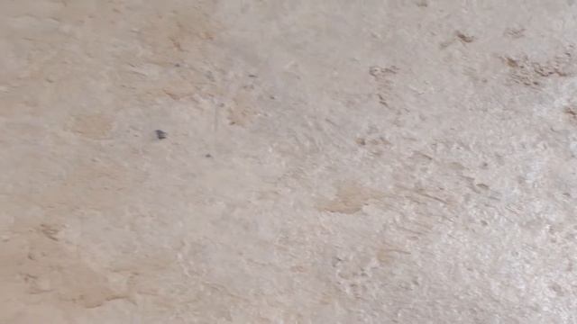 Строительные Штрихи