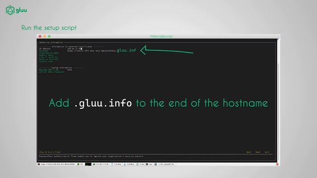 Install Gluu Server on Ubuntu 20.x смотреть онлайн