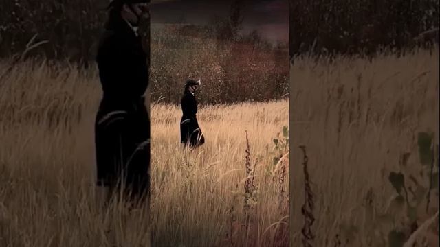 Хеллоуин близко… Снимаем костюмированные видео / Halloween is close… Filming a costume video смотреть онлайн
