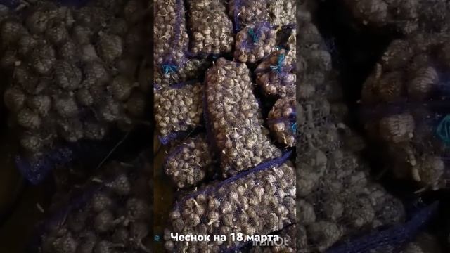 Хранение чеснока до весны смотреть онлайн