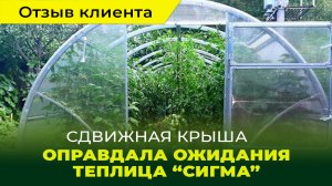 Отзыв о теплице "Сигма со сдвижной крышей. Теплица оправдала себя на 100%