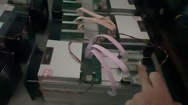 Проверка АСИКОВ майнеров в Китае. Как отправляем товар клиенту? Bitmain Antminer L3+, S9