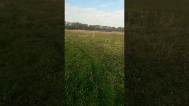 Приобретаем прототип квадроцикла Сокол. смотреть онлайн