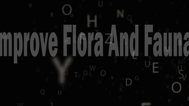 25 sentimo value update смотреть онлайн