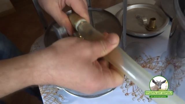 Подойник модернизированный. Ручное доение коз, маленькая хитрость смотреть онлайн