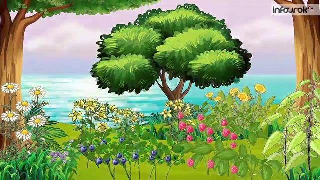 Времена года. Лето смотреть онлайн