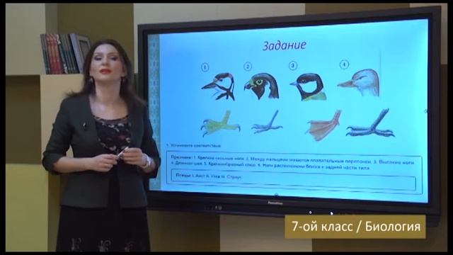 “Dərs Vaxtı”: 7-ci Sinif Dərsləri ( Rus Bölməsi) (03.06.2021)