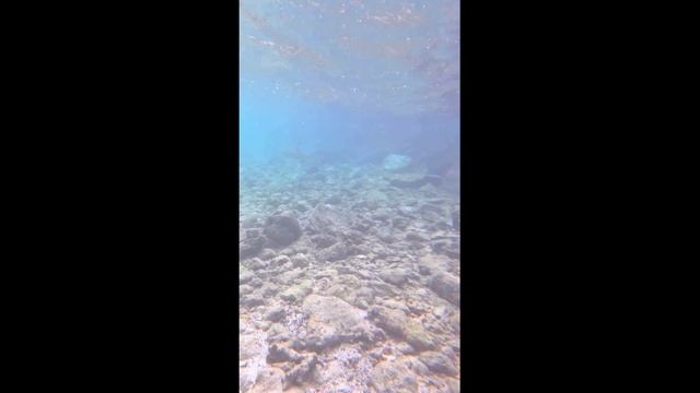 плаваешь спокойно, а тут хрненак из ниоткуда