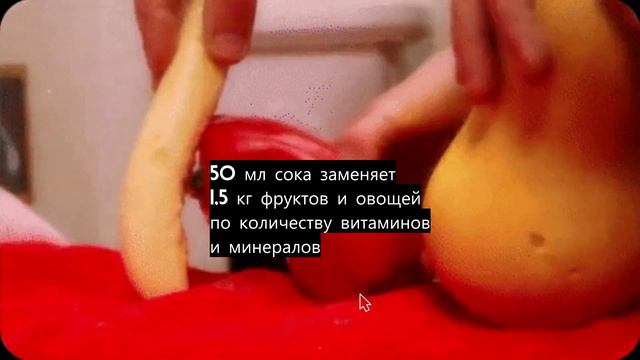 Микрозелень витграсс нельзя запрещать! смотреть онлайн