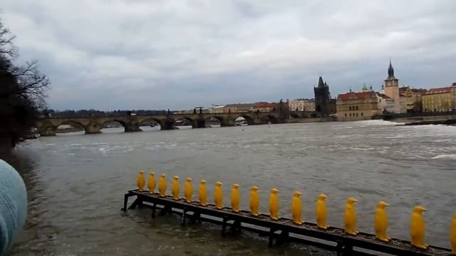 Река Влтава и Карлов мост в Праге смотреть онлайн