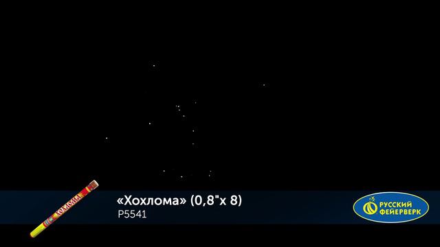 P5541