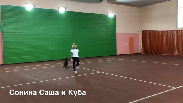 Фристайл Воронеж 1.12.18 (микс) смотреть онлайн