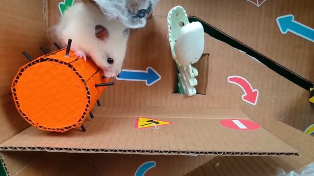 🎃 DIY Halloween Hamster Maze With Traps 🐹 Escapes From Scary Prison
