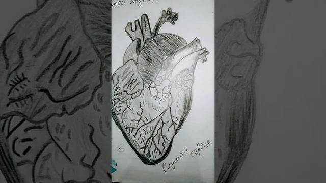 Aa, Bb, Cc, Dd, Ff, ?/ Сердце чёрное/? смотреть онлайн