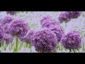 #СанТрейя #ИСЦЕЛЕНИЕ #РОСТ и #СИЯНИЕ #ТЕЛА # #АКТИВАЦИЯ #МЕДИТАЦИЯ