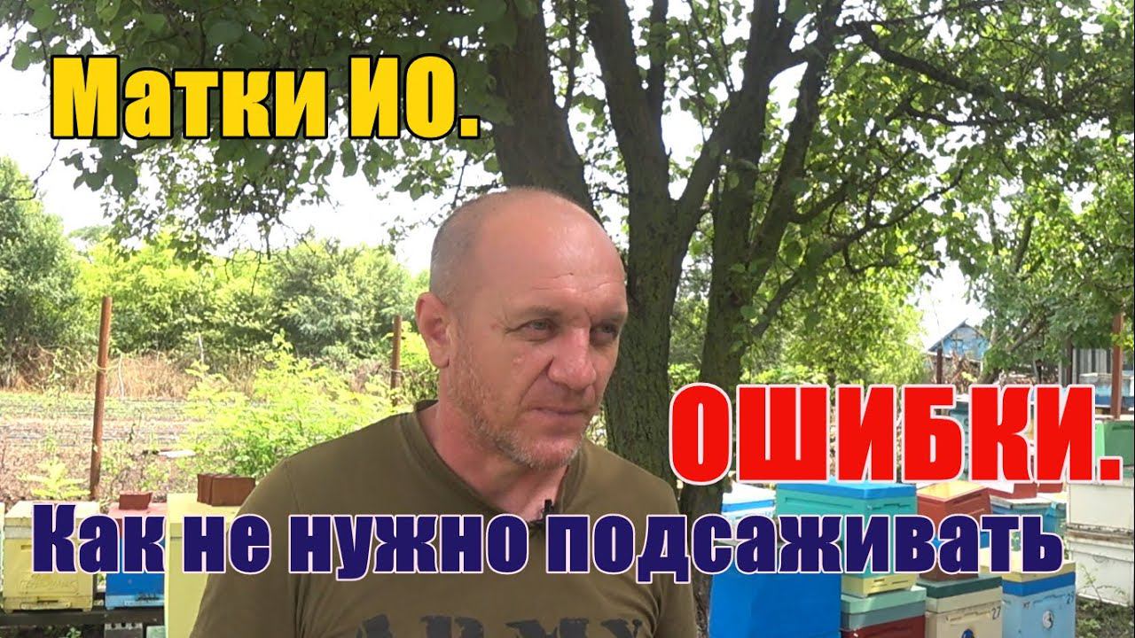Матки ИО Как не нужно подсаживать ОШИБКИ смотреть онлайн