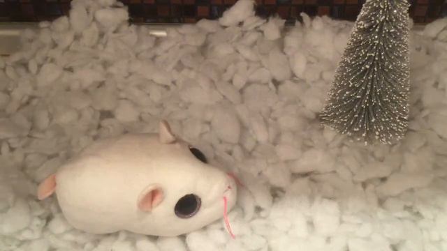 🌨DIY : как сделать фотосессию со снегом дома🌨 смотреть онлайн